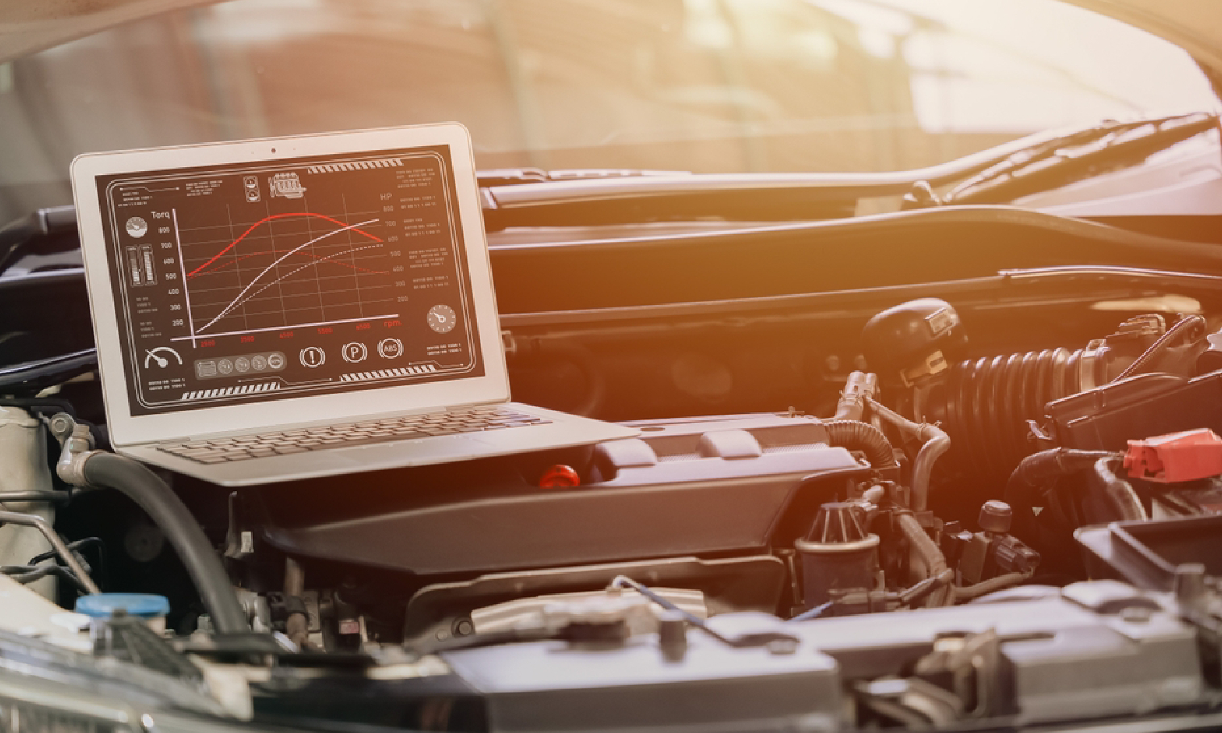 Wheel cleaning and detailing